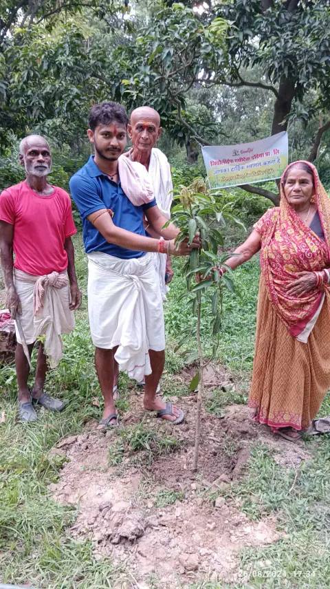 Tree Plantation 2024 – Bihar
