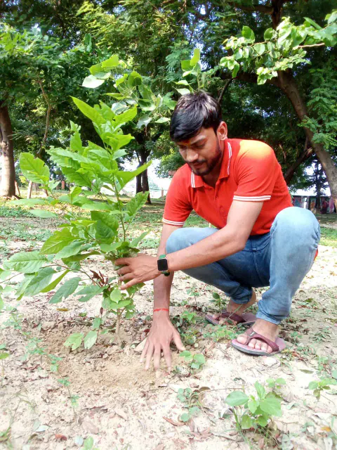 Tree Plantation 2024 – Bihar