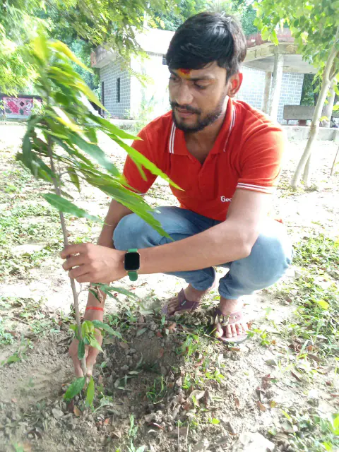Tree Plantation 2024 – Bihar