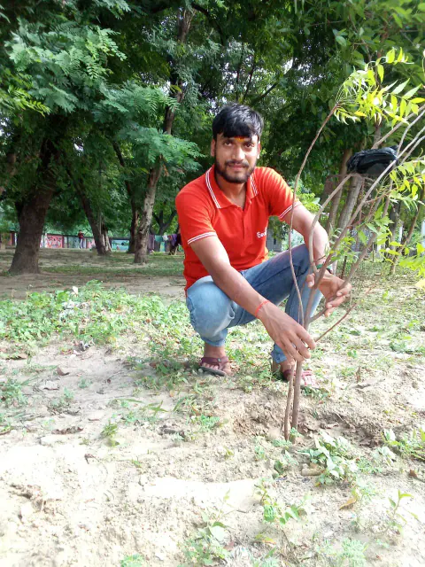 Tree Plantation 2024 – Bihar