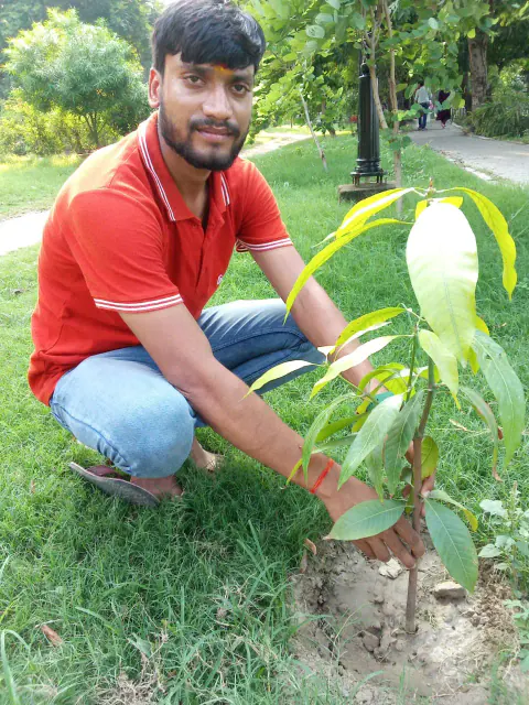 Tree Plantation 2024 – Bihar