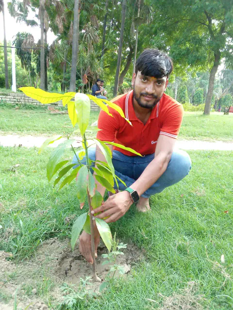 Tree Plantation 2024 – Bihar