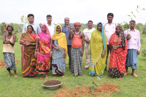 Tree Plantation 2024 – Bihar
