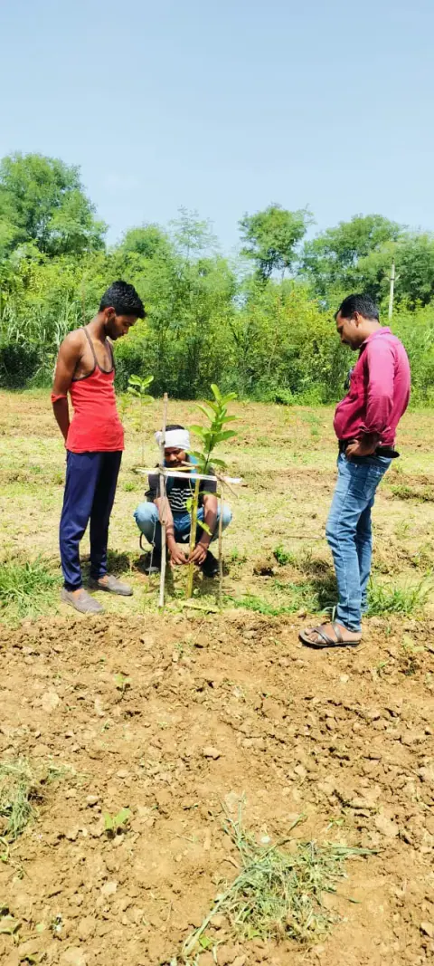 Tree Plantation 2024 – Bihar