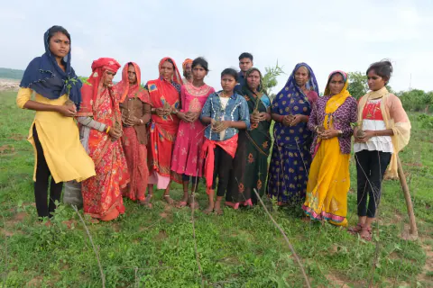 Tree Plantation 2024 – Bihar