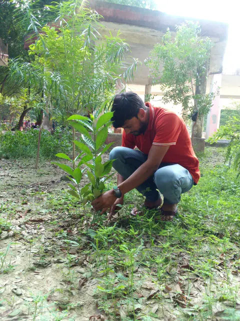 Tree Plantation 2024 – Bihar