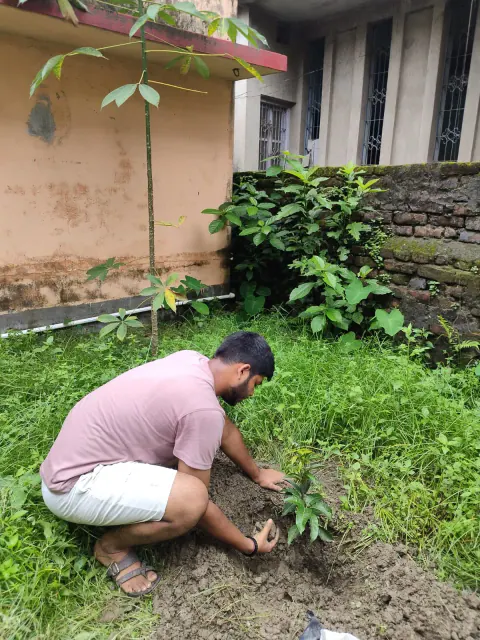 Tree Plantation 2024 – Bihar