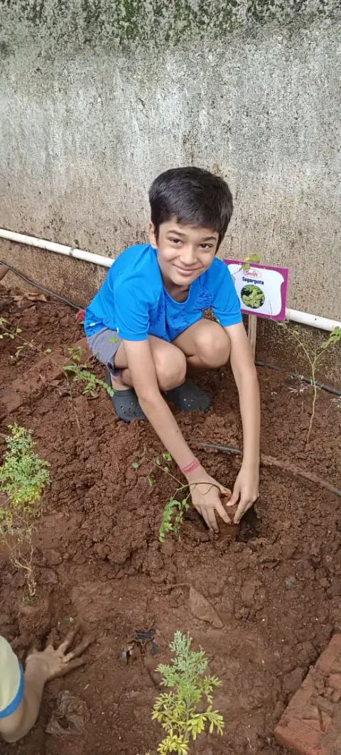 Tree Plantation 2024 – Ghatkopar