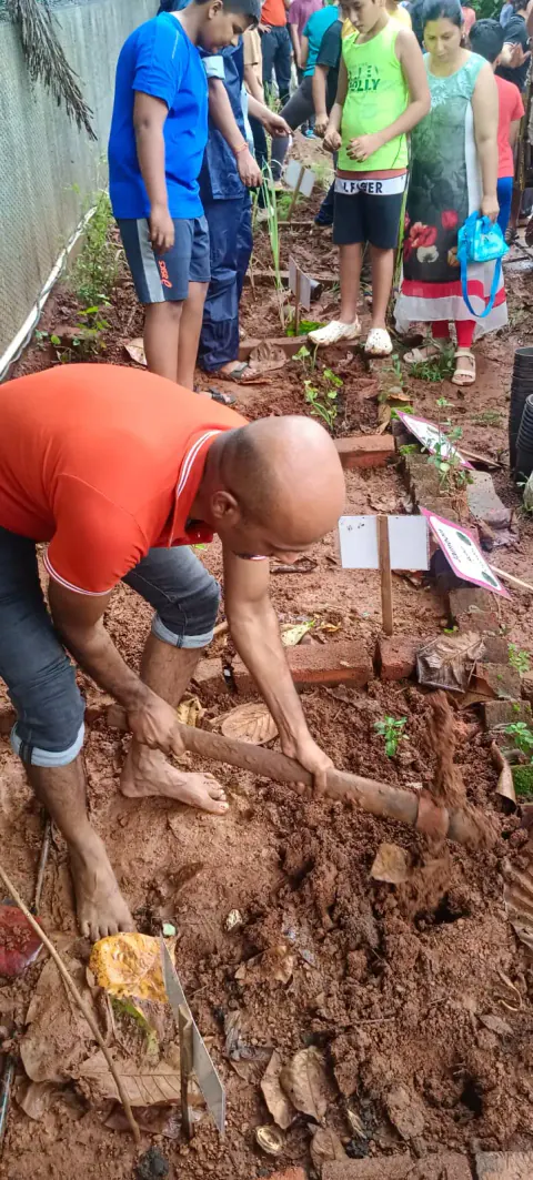 Tree Plantation 2024 – Ghatkopar