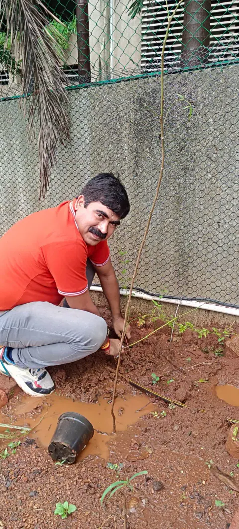 Tree Plantation 2024 – Ghatkopar