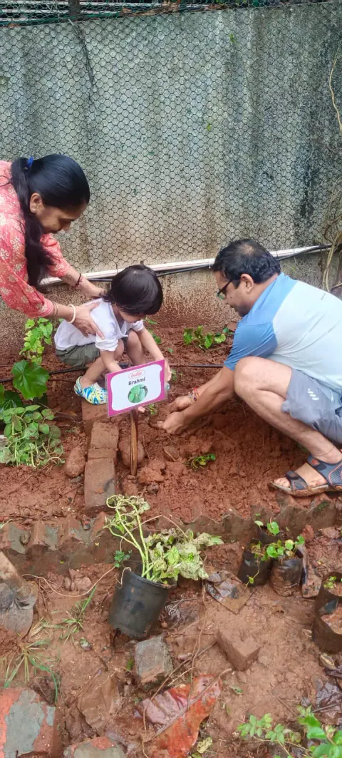 Tree Plantation 2024 – Ghatkopar