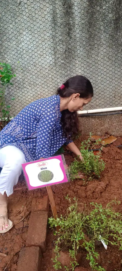 Tree Plantation 2024 – Ghatkopar