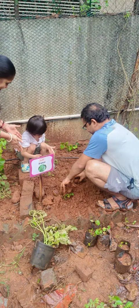 Tree Plantation 2024 – Ghatkopar