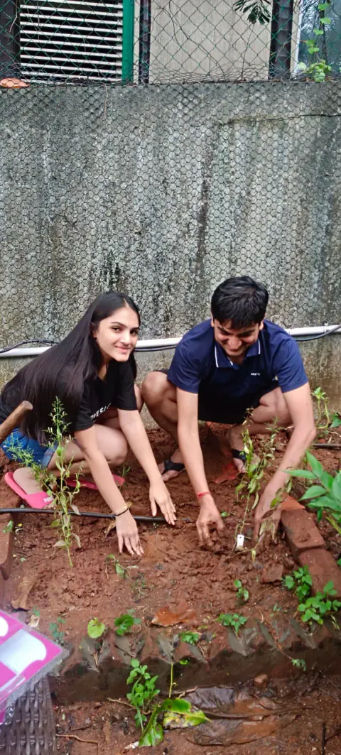 Tree Plantation 2024 – Ghatkopar