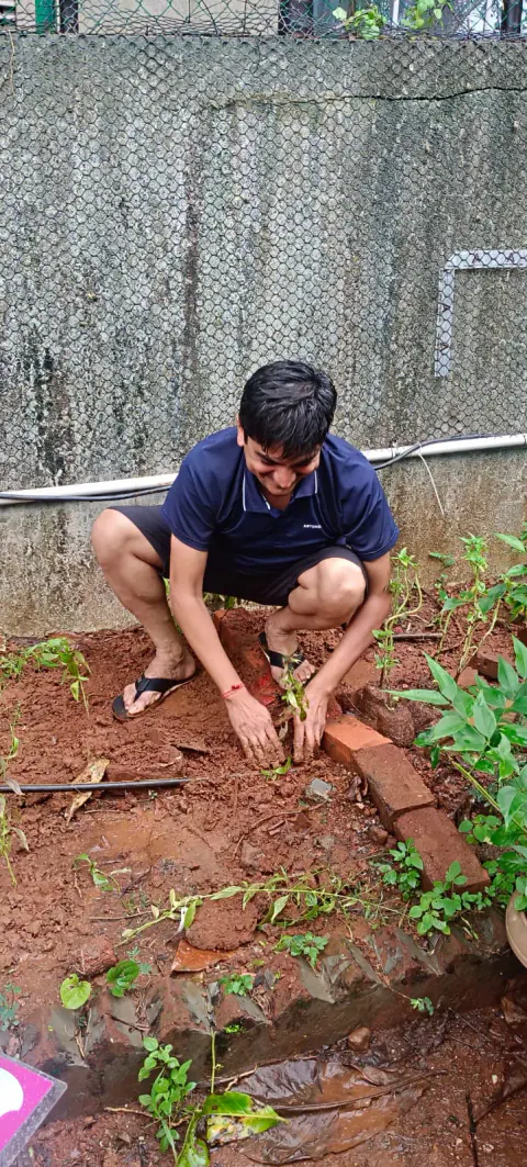 Tree Plantation 2024 – Ghatkopar