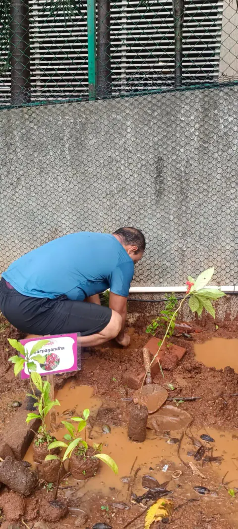 Tree Plantation 2024 – Ghatkopar