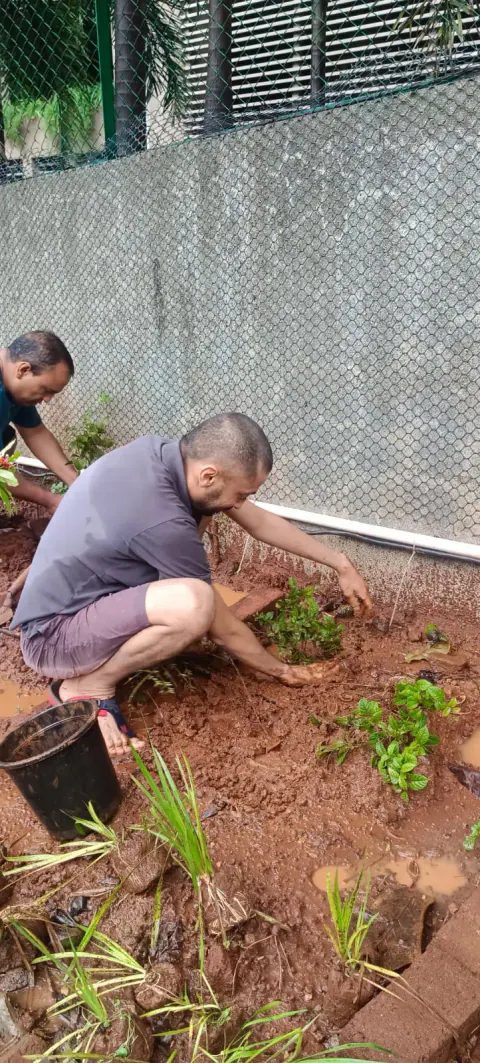 Tree Plantation 2024 – Ghatkopar