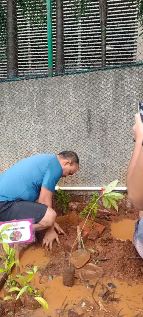 Tree Plantation 2024 – Ghatkopar