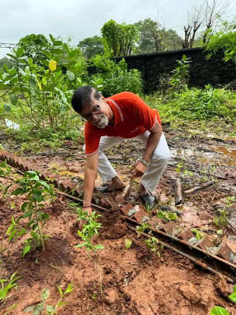 Tree Plantation 2024 – Ghatkopar