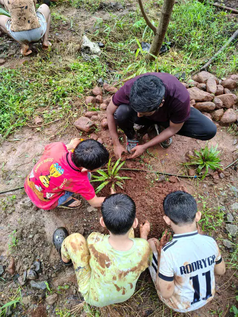 Tree Plantation 2024 – Ghatkopar