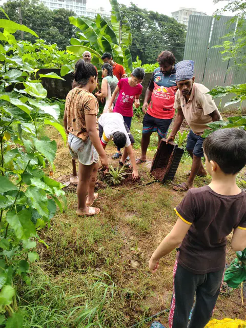 Tree Plantation 2024 – Ghatkopar
