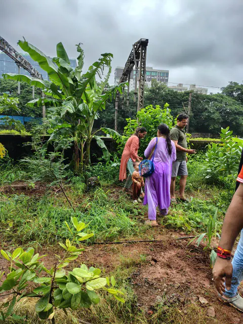 Tree Plantation 2024 – Ghatkopar