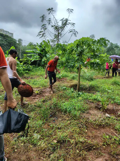 Tree Plantation 2024 – Ghatkopar
