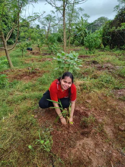Tree Plantation 2024 – Ghatkopar