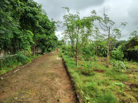 Tree Plantation 2024 – Ghatkopar