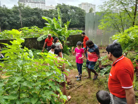 Tree Plantation 2024 – Ghatkopar