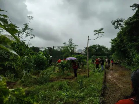 Tree Plantation 2024 – Ghatkopar