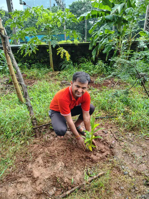 Tree Plantation 2024 – Ghatkopar