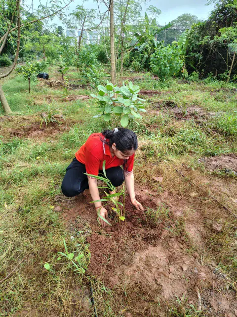 Tree Plantation 2024 – Ghatkopar