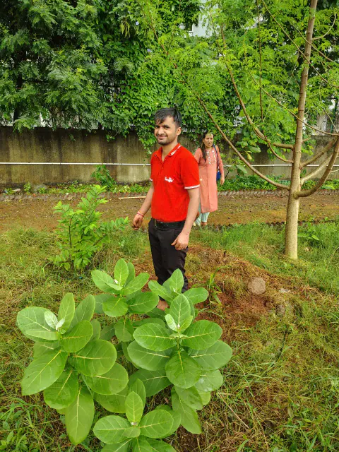 Tree Plantation 2024 – Ghatkopar