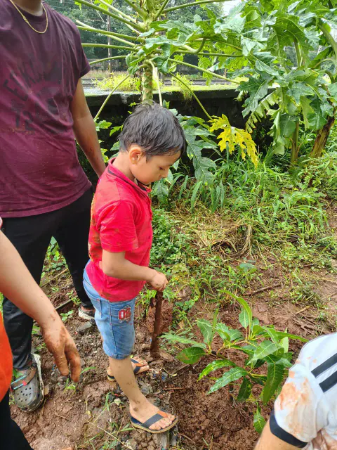 Tree Plantation 2024 – Ghatkopar