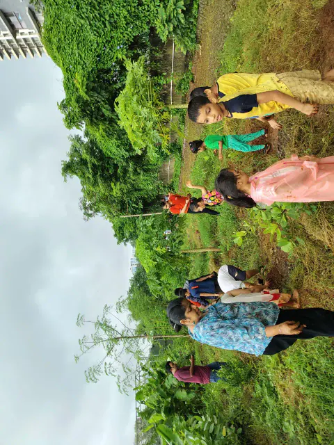 Tree Plantation 2024 – Ghatkopar