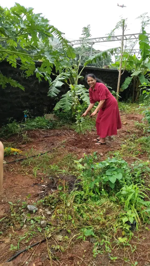Tree Plantation 2024 – Ghatkopar