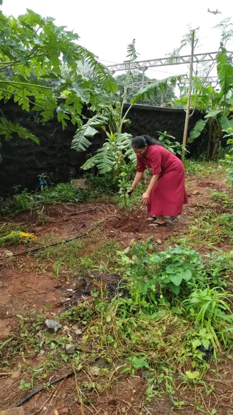 Tree Plantation 2024 – Ghatkopar