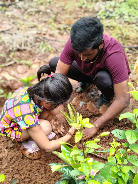 Tree Plantation 2024 – Ghatkopar