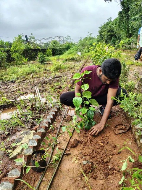 Tree Plantation 2024 – Ghatkopar