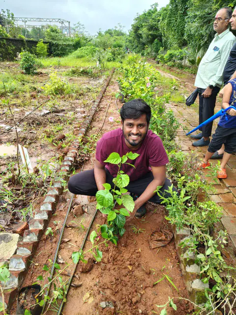 Tree Plantation 2024 – Ghatkopar