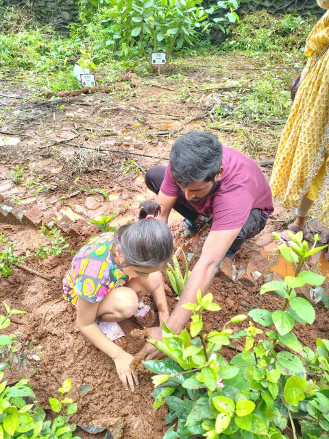 Tree Plantation 2024 – Ghatkopar