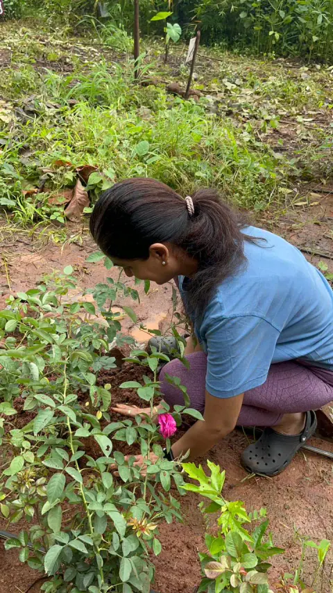 Tree Plantation 2024 – Ghatkopar