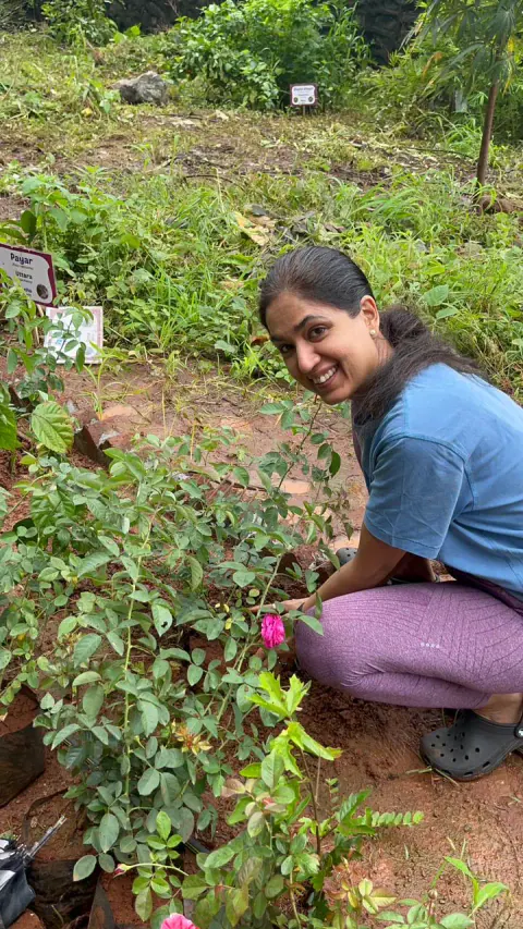 Tree Plantation 2024 – Ghatkopar