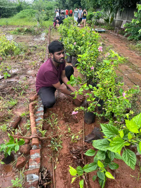 Tree Plantation 2024 – Ghatkopar
