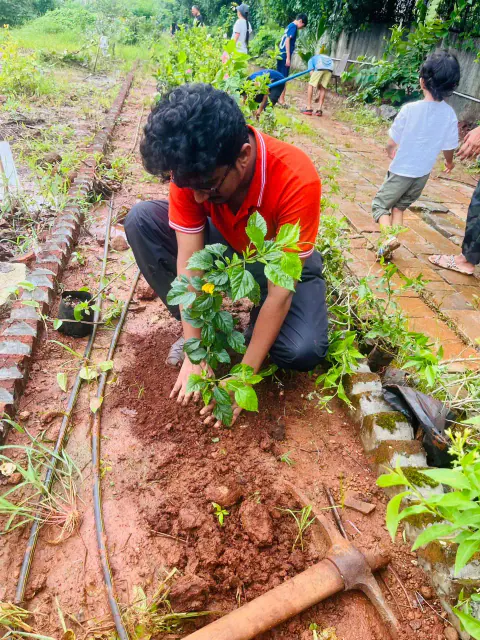 Tree Plantation 2024 – Ghatkopar