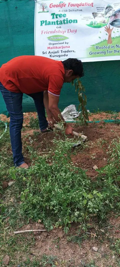 Tree Plantation 2024 – Karnataka