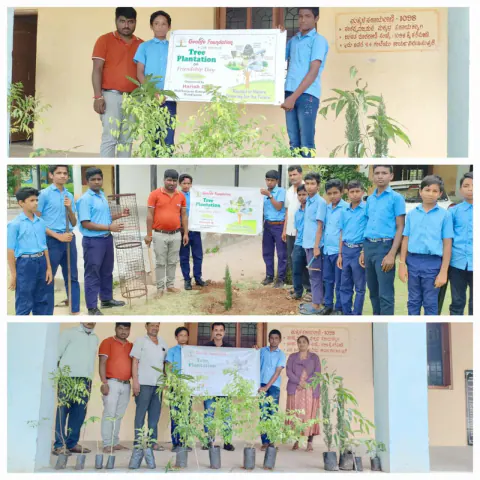 Tree Plantation 2024 – Karnataka