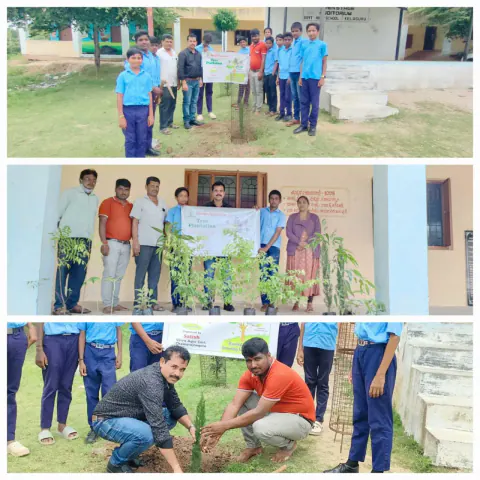 Tree Plantation 2024 – Karnataka