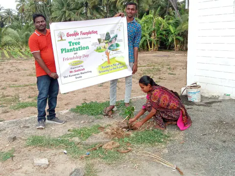 Tree Plantation 2024 – Lead Crop Science